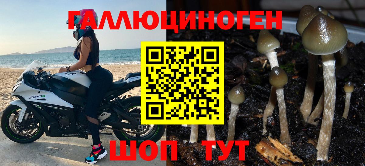 Галлюциногенные грибы мухоморы  Вход с VPN  Долгопрудный 